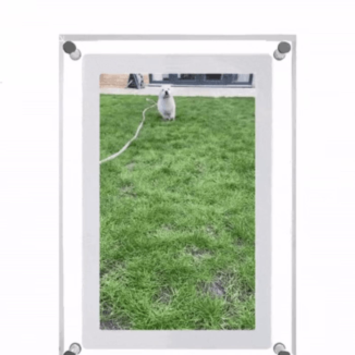 Treasured Memory™ Digital Frame